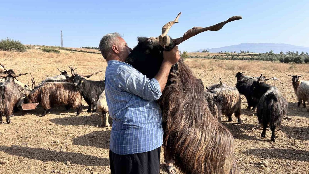 Sattığı kurbanlıklarla duygusal bağ kuran adam yaptıklarıyla gülümsetiyor