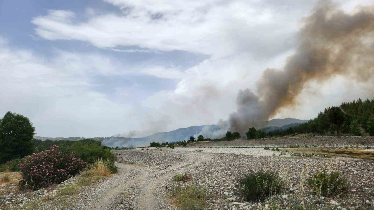 Muğla sınırında başlayan orman yangını Denizli’ye sıçradı