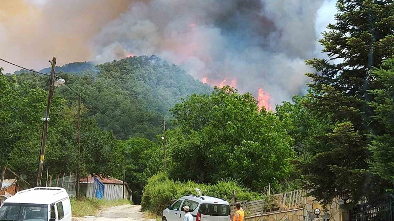 Milas’ta başlayan orman yangını büyüyor