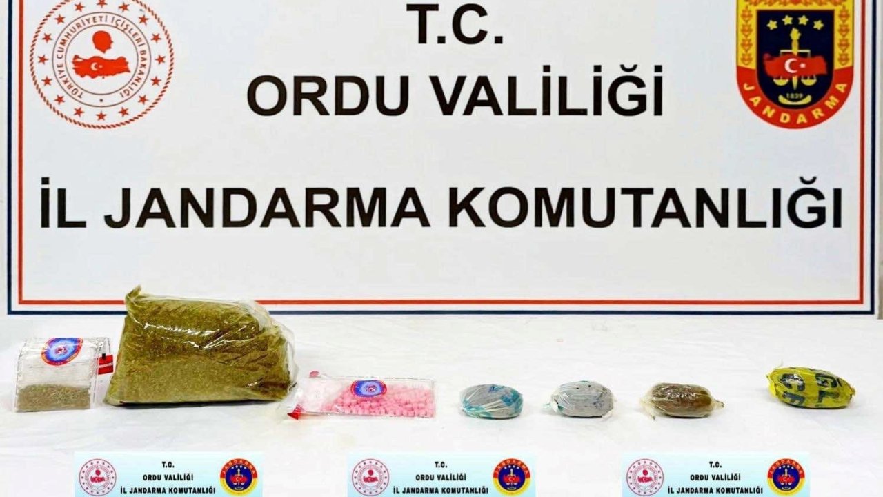 Ordu’da Jandarma KOM ekiplerinin 5 aylık faaliyeti açıklandı: 13 tutuklama