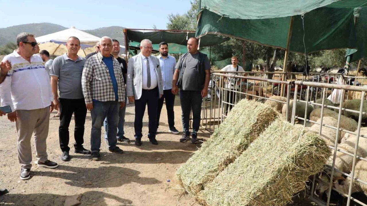 Başkan Ertaş: “Kurban Bayramı dayanışma demektir”