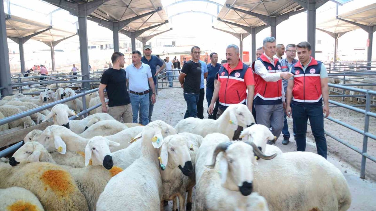 Kurban satış yerlerinde denetimler sürüyor