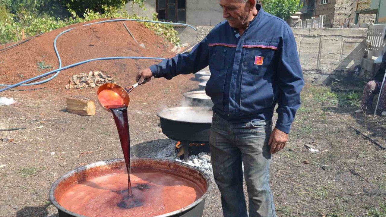 Antalya’da her derde deva andız pekmezi