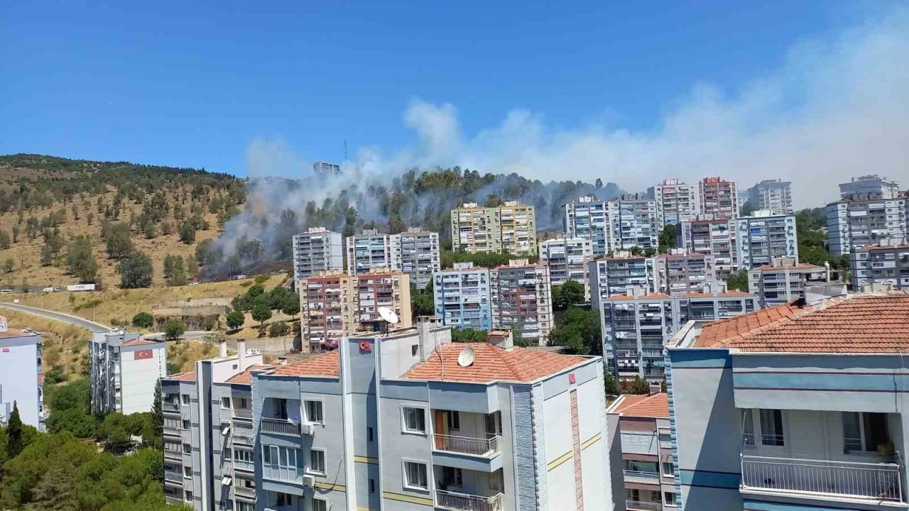 Aliağa’da orman yangını