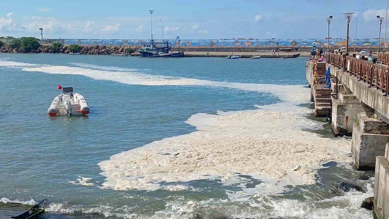 Karadeniz’deki kirliliğin müsilaj değil, alglerden kaynaklandığı ortaya çıktı