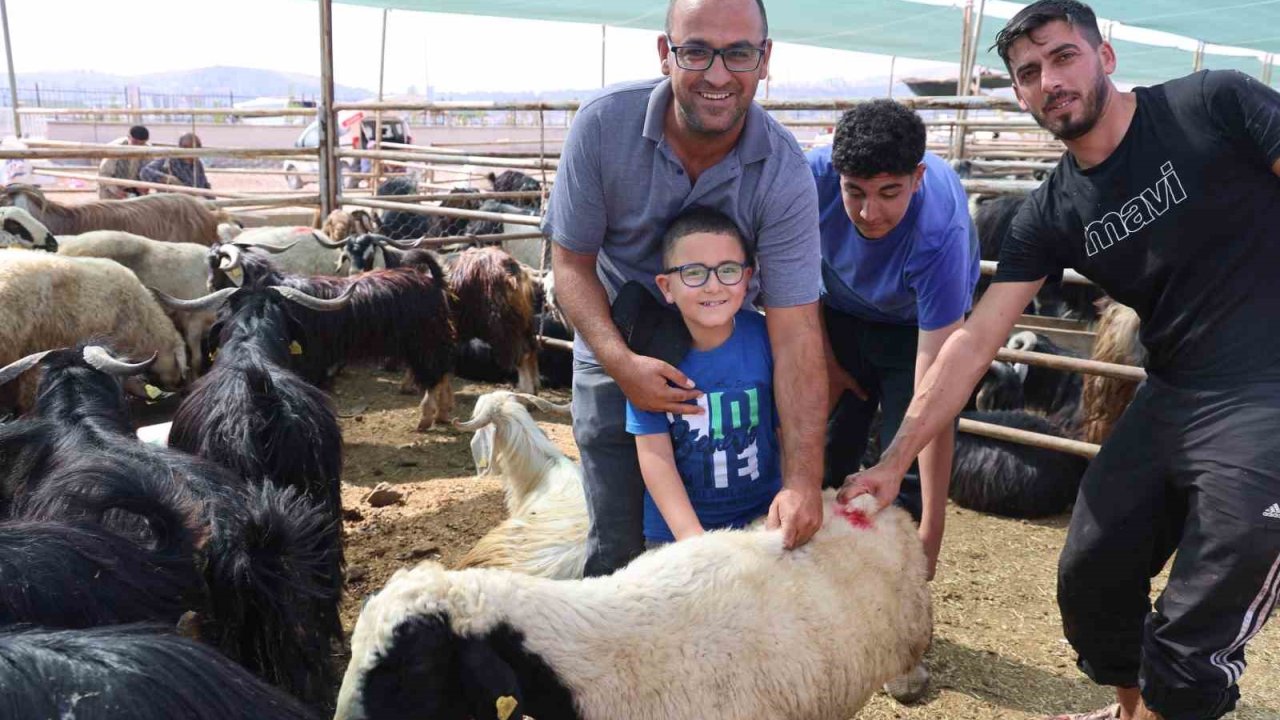 Elazığ’da bayramın son gününde kurbanlık alma telaşı sürdü