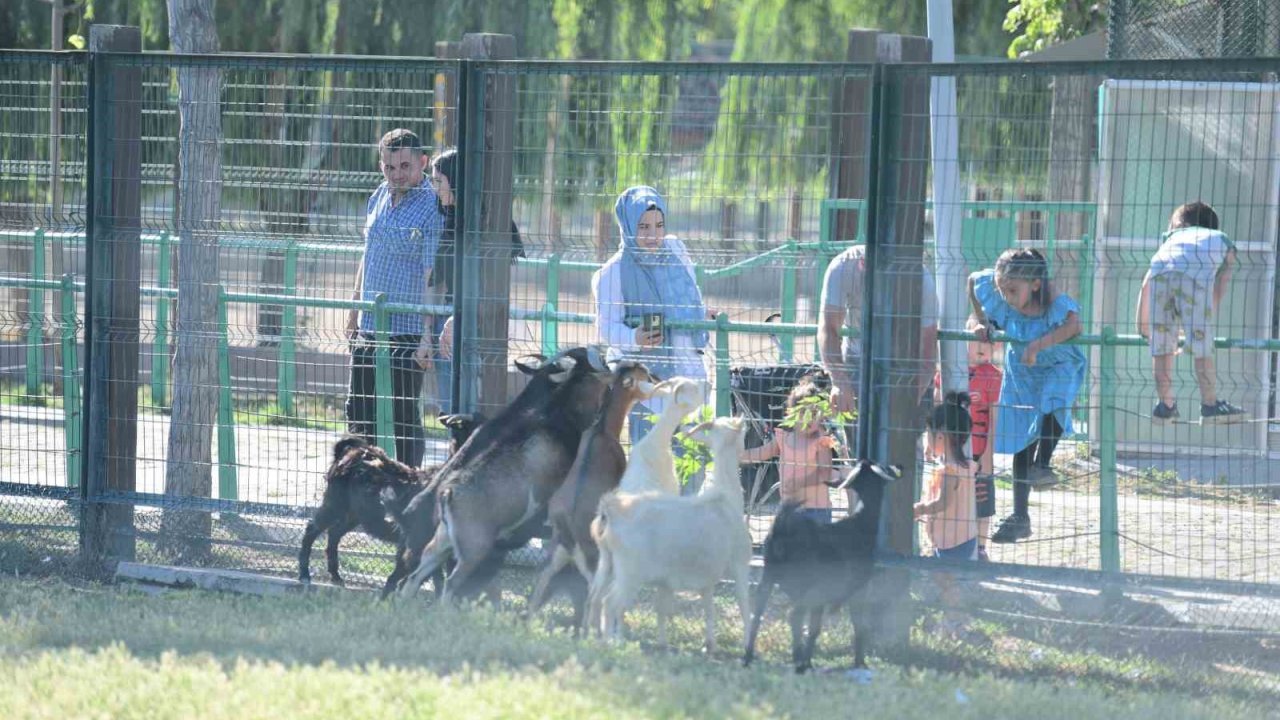 Büyükşehir Hayvanat Bahçesi’nin misafirlerine bayramda ziyaretçi akını