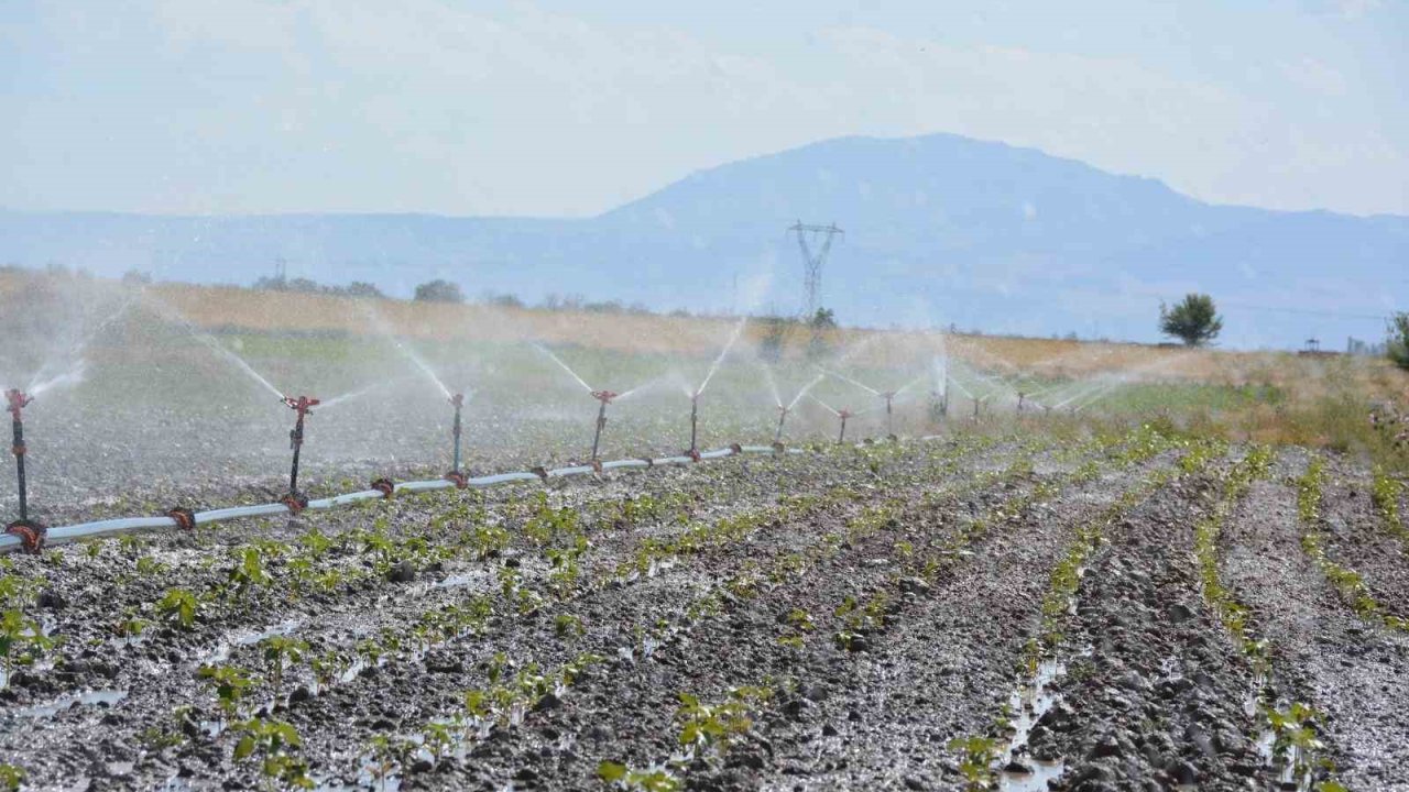 Denizli’de tarımsal sulama ile ülke ekonomisine 10 milyar TL katkı sağlanacak