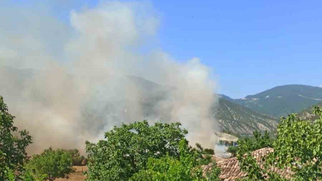 Sinop’ta tarım arazisinde yangın