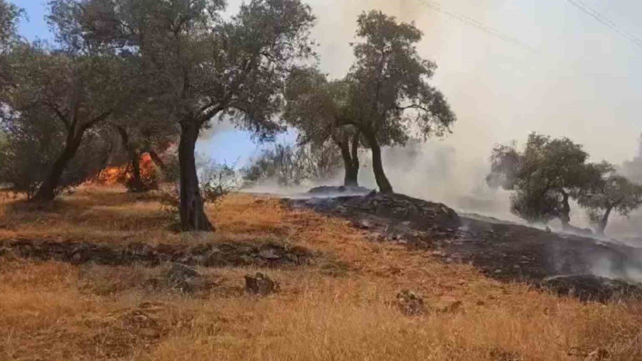 Çine’deki yangın kontrol altına alındı