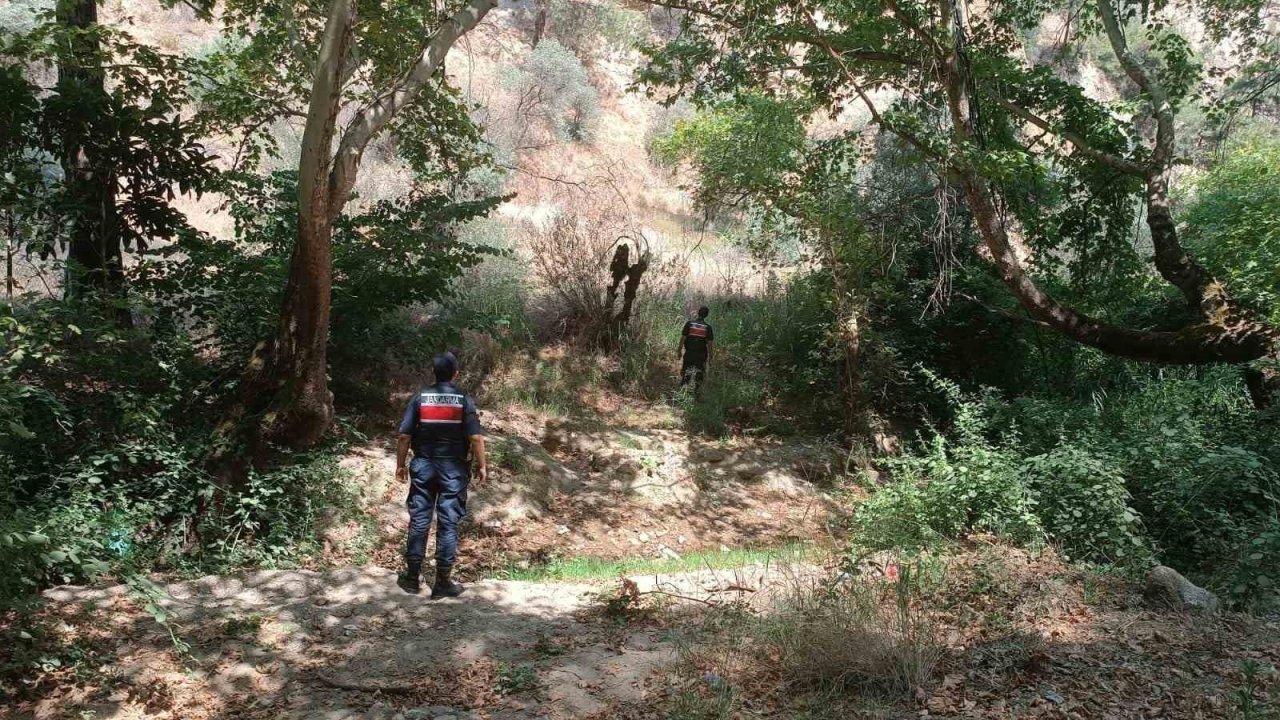 Ormanlık alanda mangal yakan 31 kişi cezadan kaçamadı