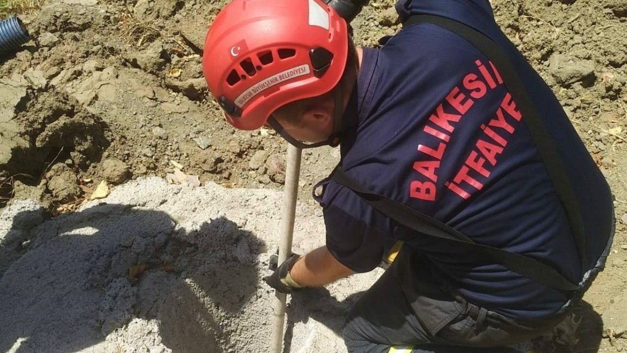 Erdek’te çukura düşen yavru domuzun imdadına itfaiye yetişti