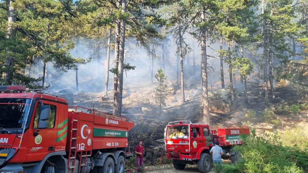 Bozdoğan Kaymakamlığı’ndan orman yangını uyarısı