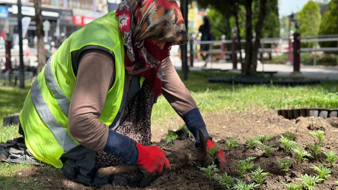 Sincan çiçeklerle donatıldı