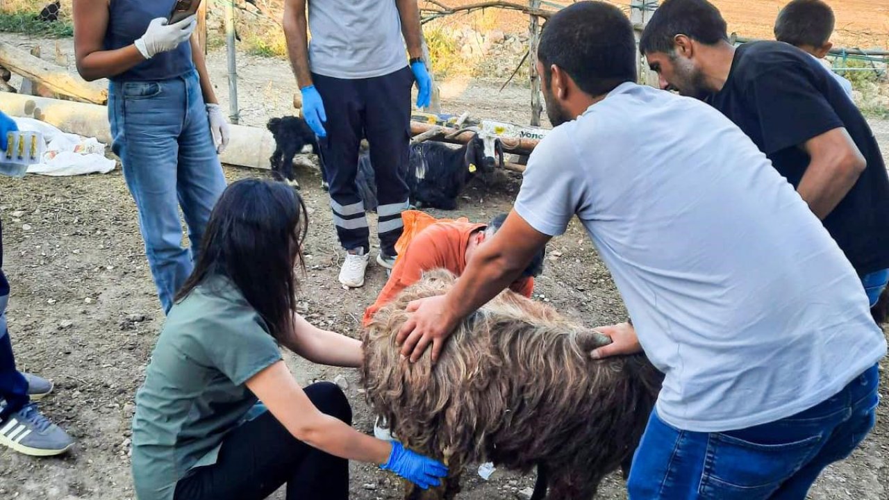 Belediyeden Mardin ve Diyarbakır’a veteriner ve itfaiye desteği