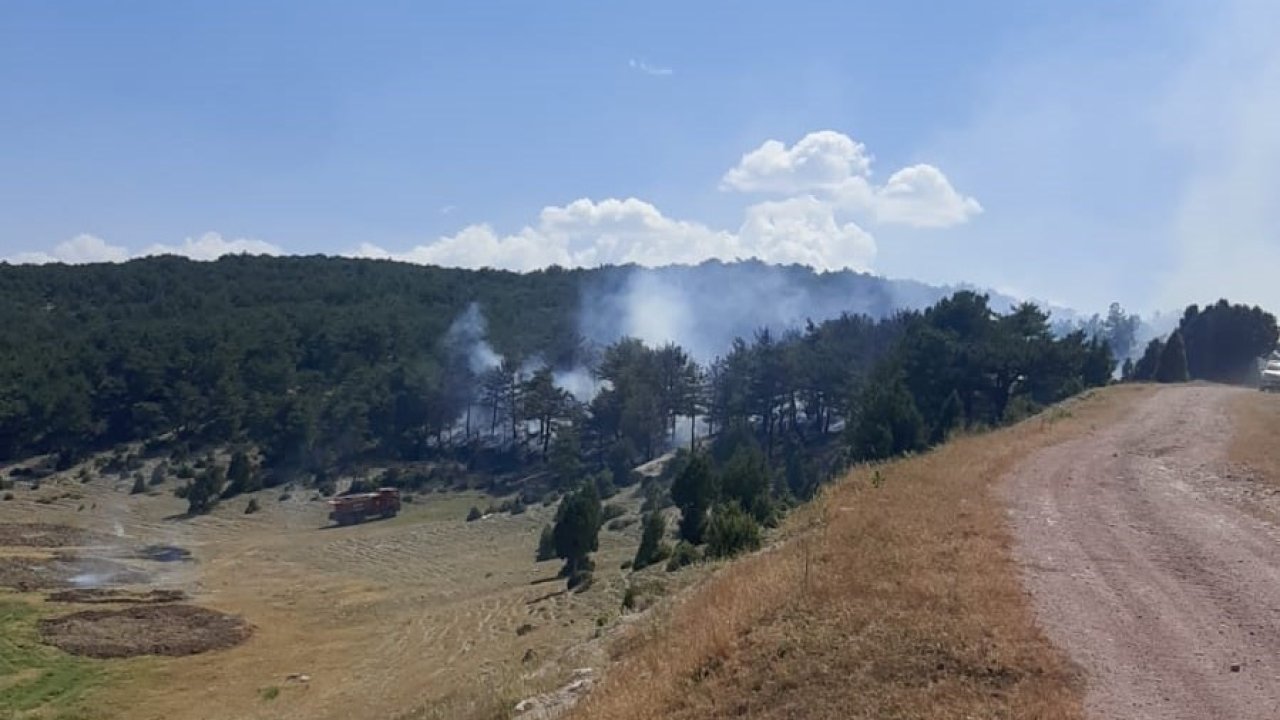 Kütahya’da orman yangını kontrol altına alındı