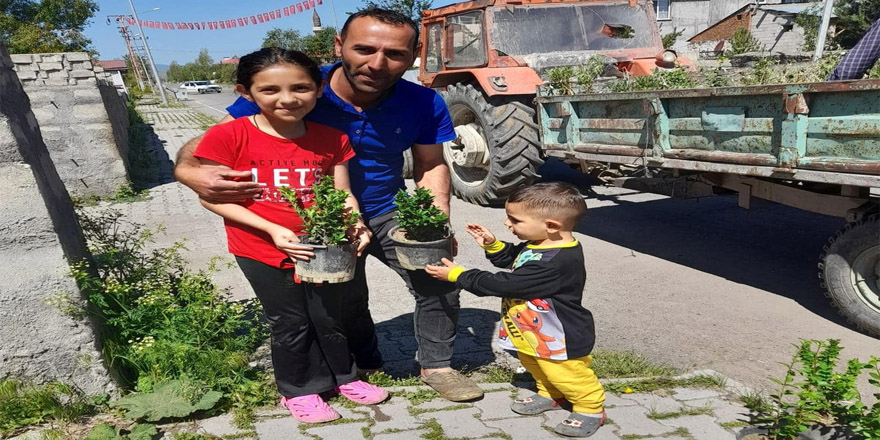 Selim Belediyesi Ücretsiz Çiçek Dağıtımı yaptı!