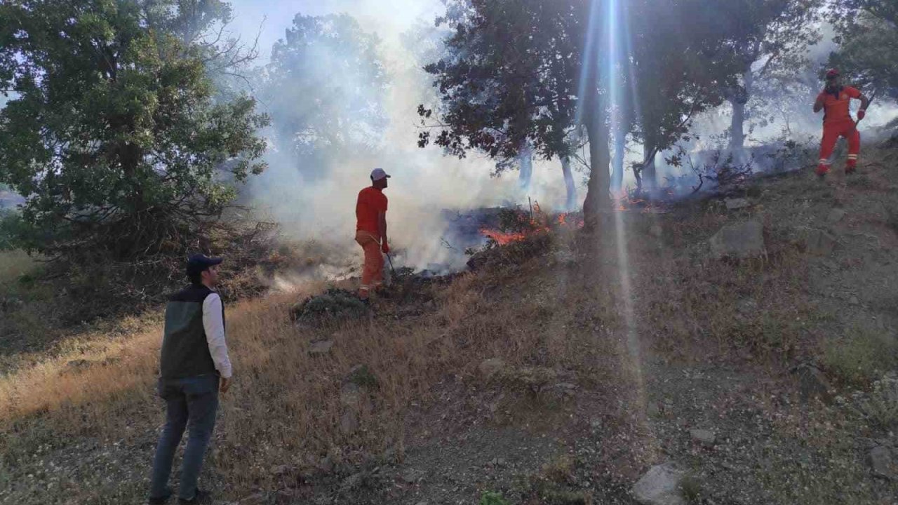 Bingöl’de iki ayrı bölgede çıkan yangınlar söndürüldü