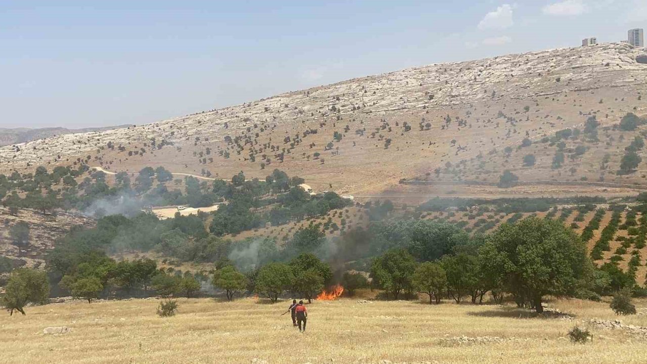 Mardin’deki orman yangını söndürüldü