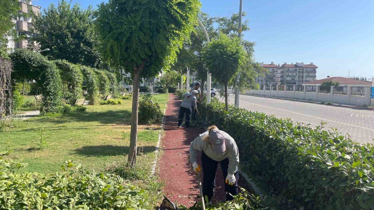 Söke Belediyesi park ve bahçeleri pırıl pırıl yapıyor