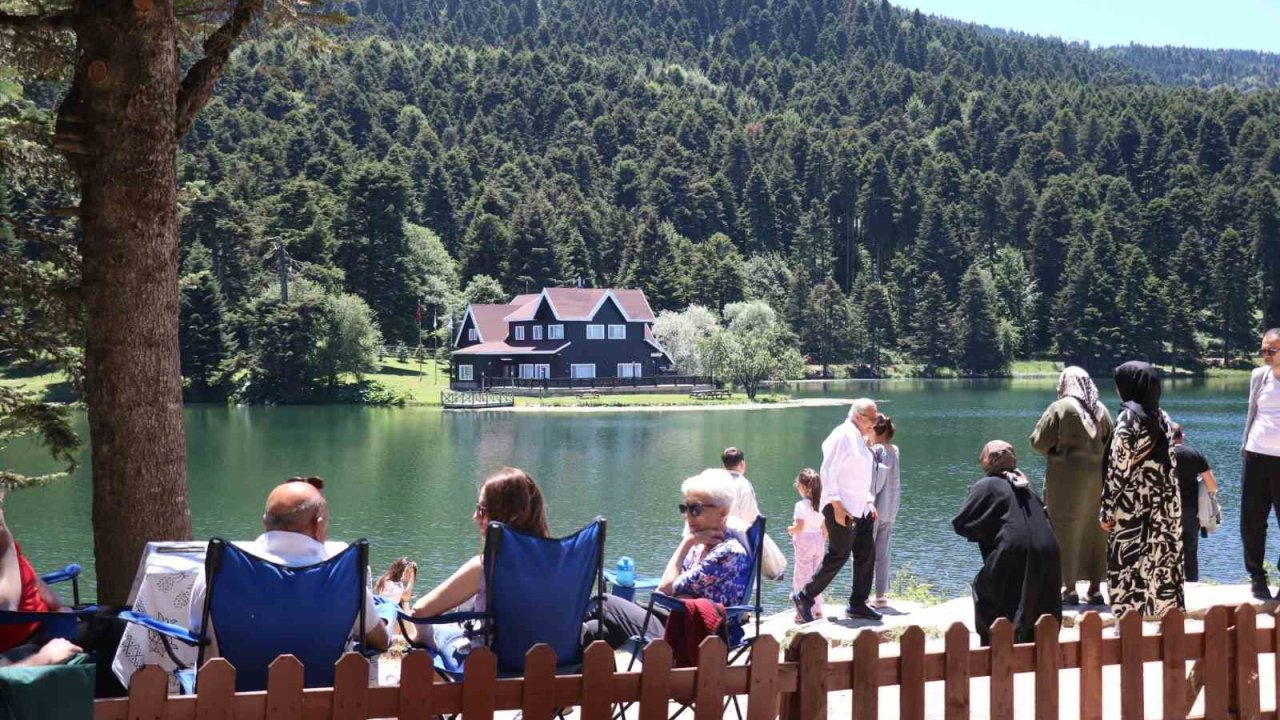 Bolu’da ormanlık alanlara giriş yasaklandı