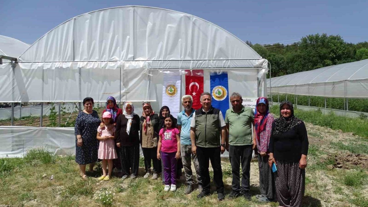 Seralardan ilk ürünler toplanmaya başladı