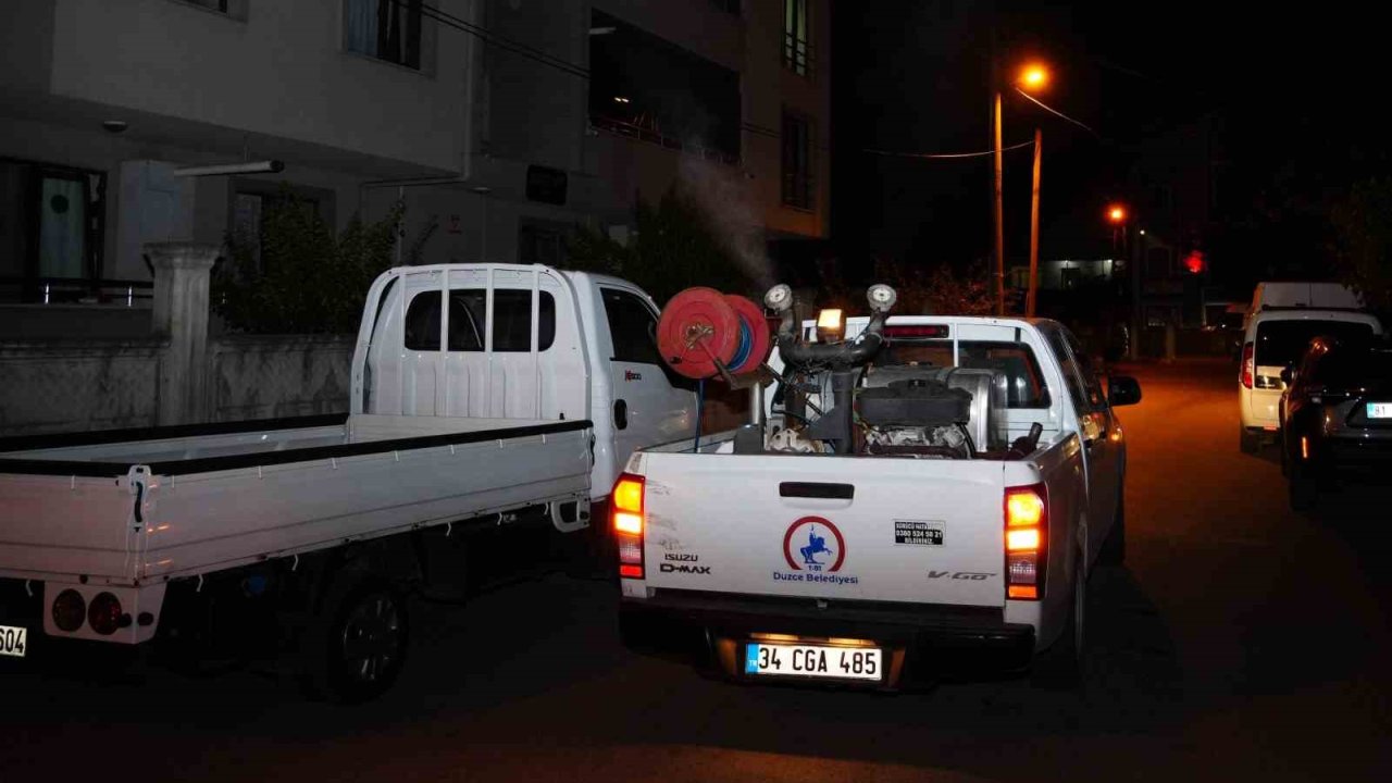 Cadde ve sokaklar her gece ilaçlanıyor