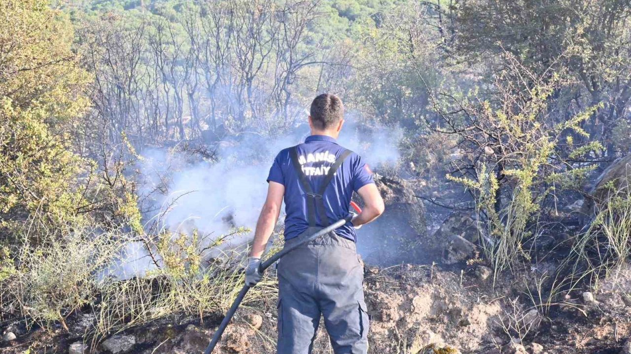 Manisa İtfaiyesinin yangınlarla mücadelesi devam ediyor