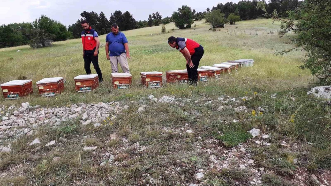 Emet’te ayılar tarafından kovanları parçalanan yetiştiriciye arkadaşlarından destek