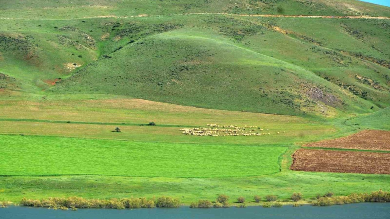 “Erzurum’da süt ürünleri üretimi gelişime açık”