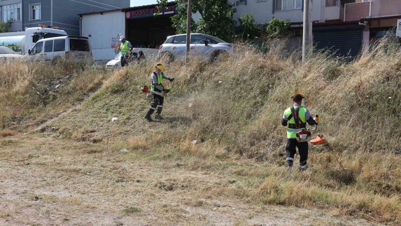 Darıca’da yaz temizliği başladı