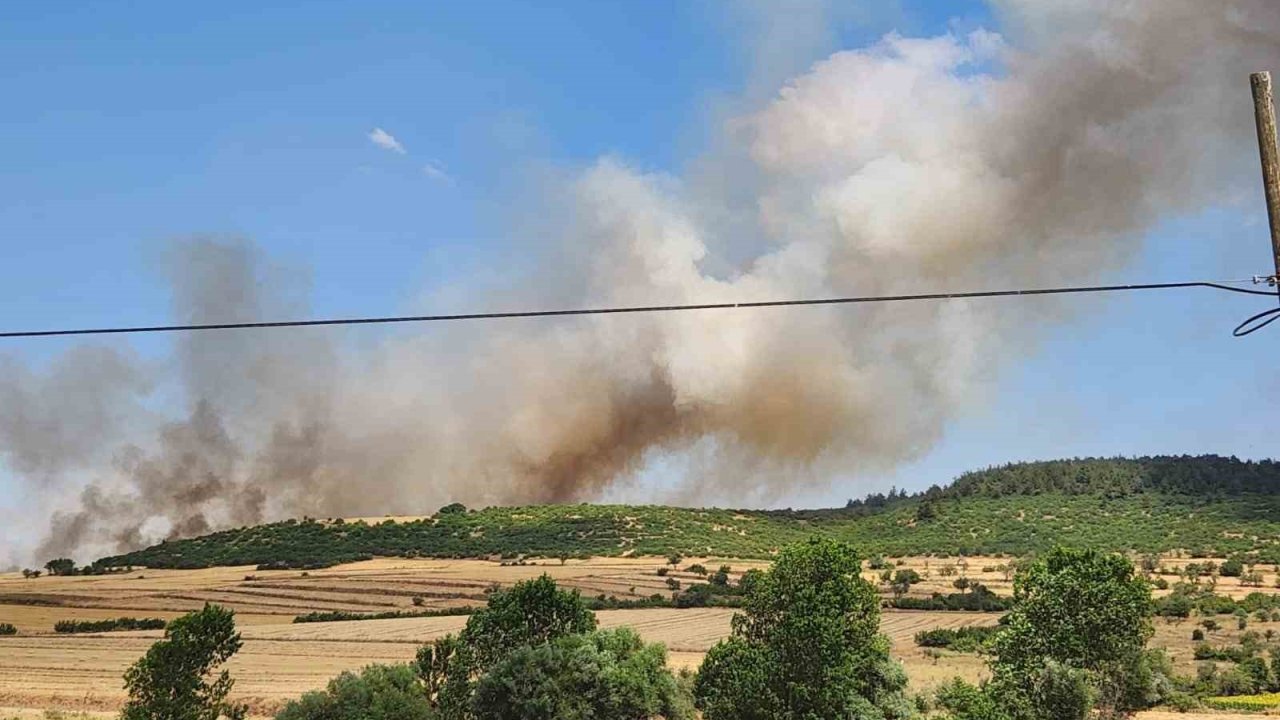 Balıkesir’de makilik alandaki yangın ormana sıçradı