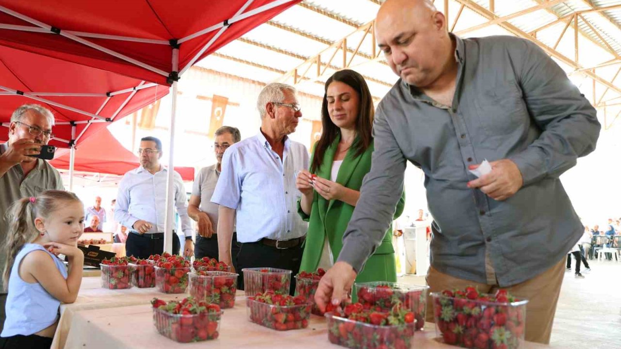 Yatağan’da ‘Çilek’ festivali