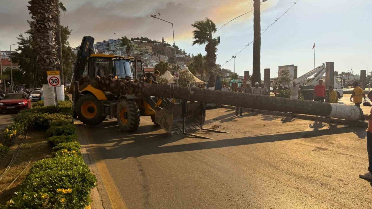 Kuşadası’nda devrilen ağaç ekiplerin müdahalesiyle kaldırıldı