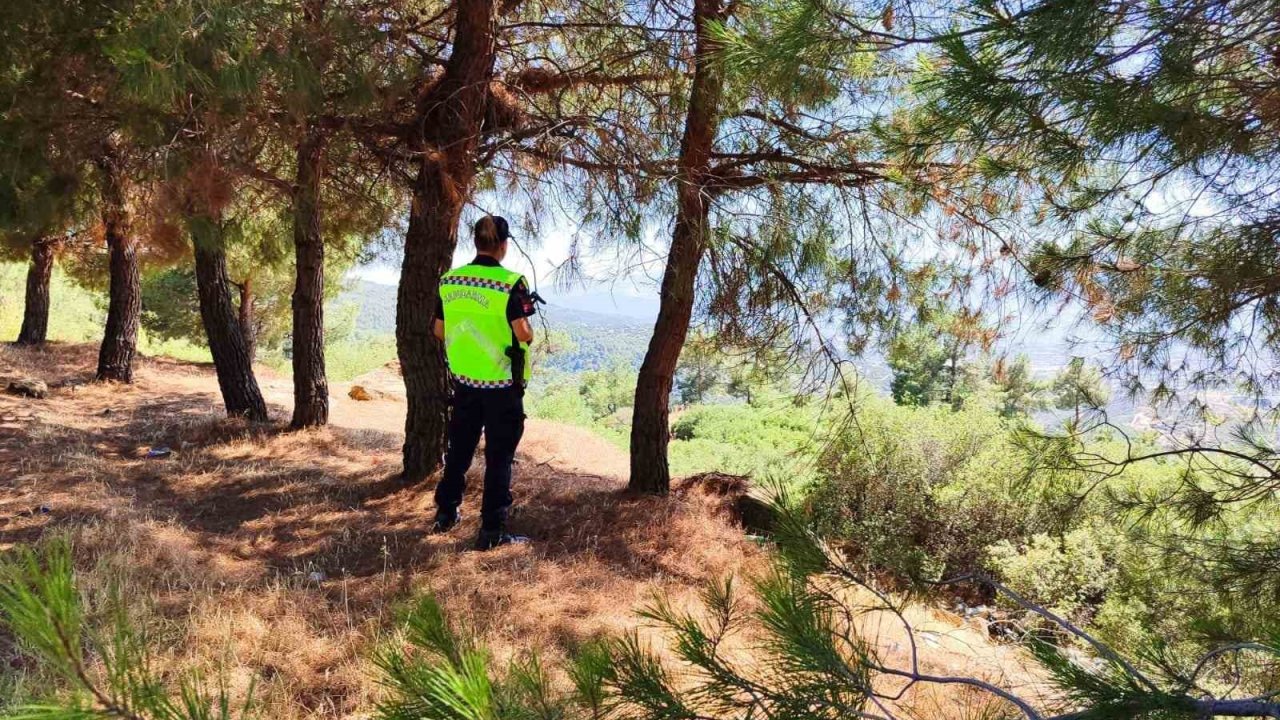 Jandarma ekipleri yasak bölgeye giren şahıslara cezai işlem uyguladı