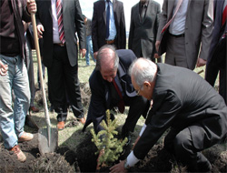 Kars Açık Cezaevi’nde Fidan Dikimi