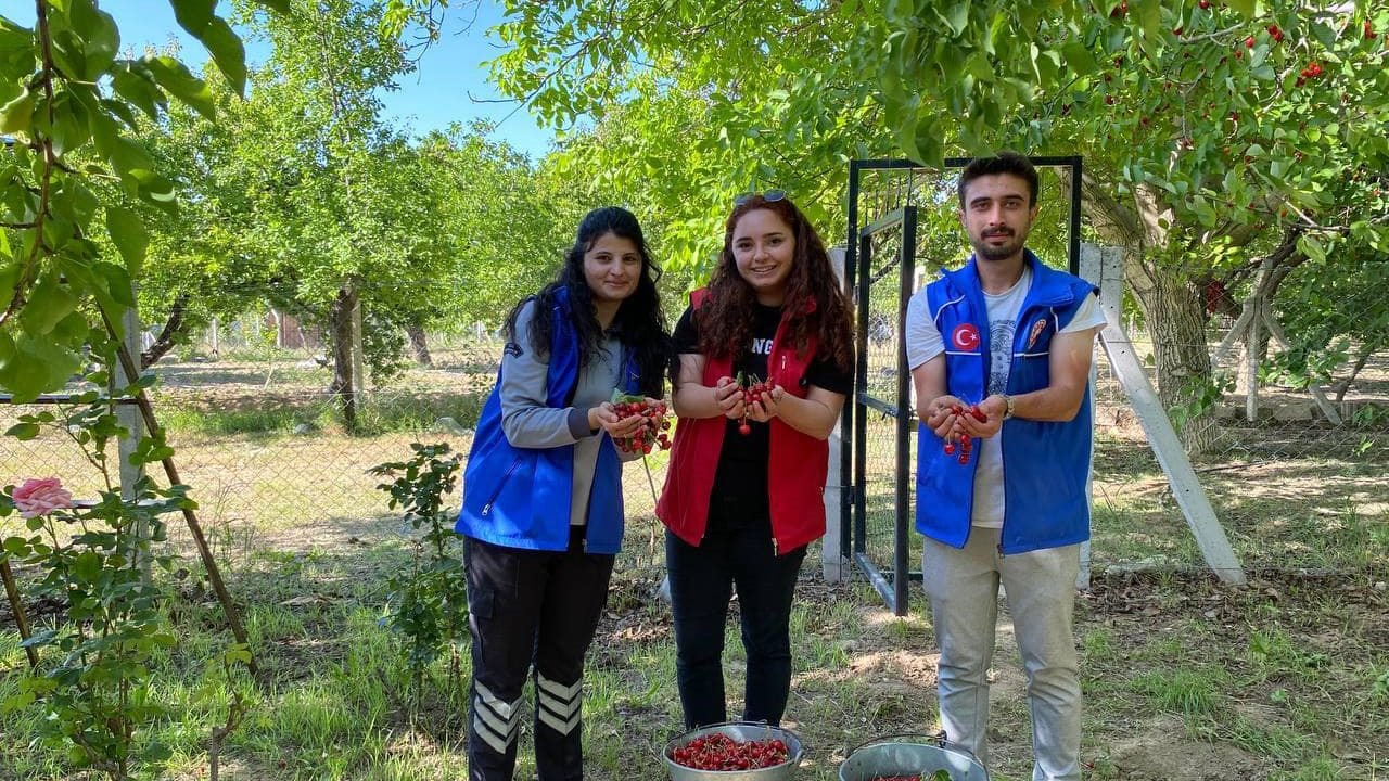 Niğde’de gönüllü gençler cami temizliği ile kiraz hasadı yaptı