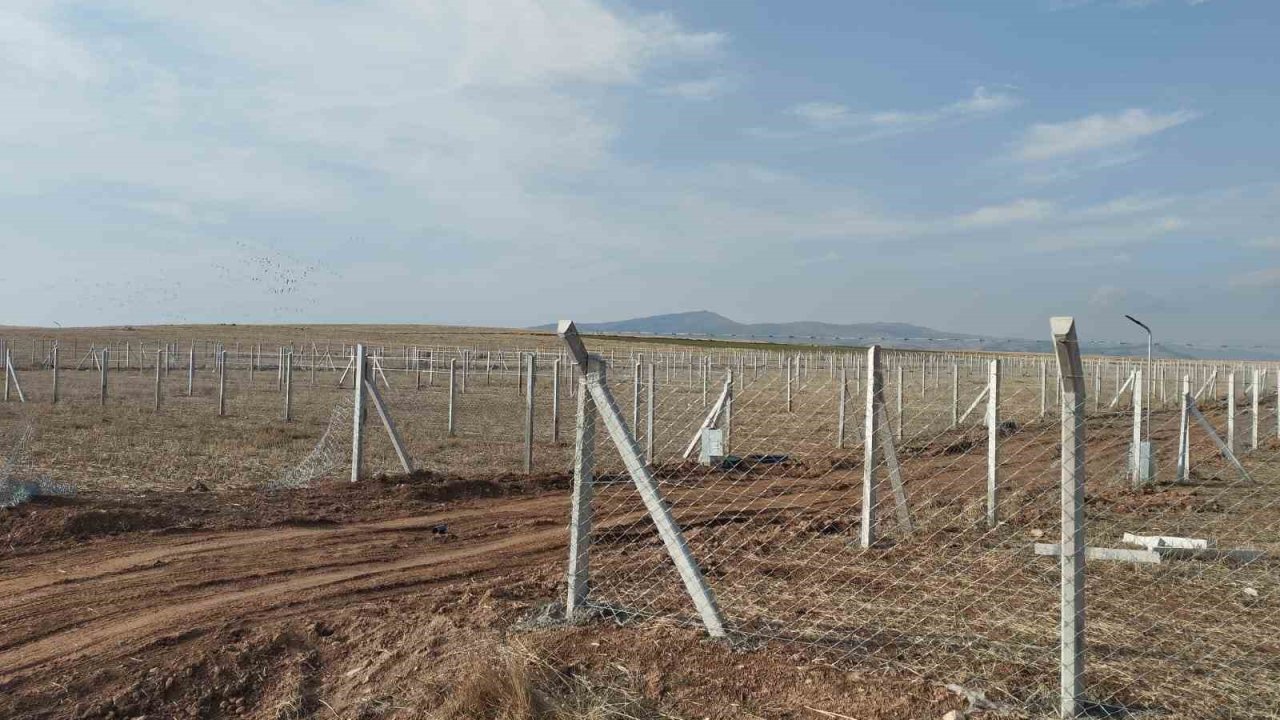 Tarım arazilerini aykırı kullananlara ceza yağdı