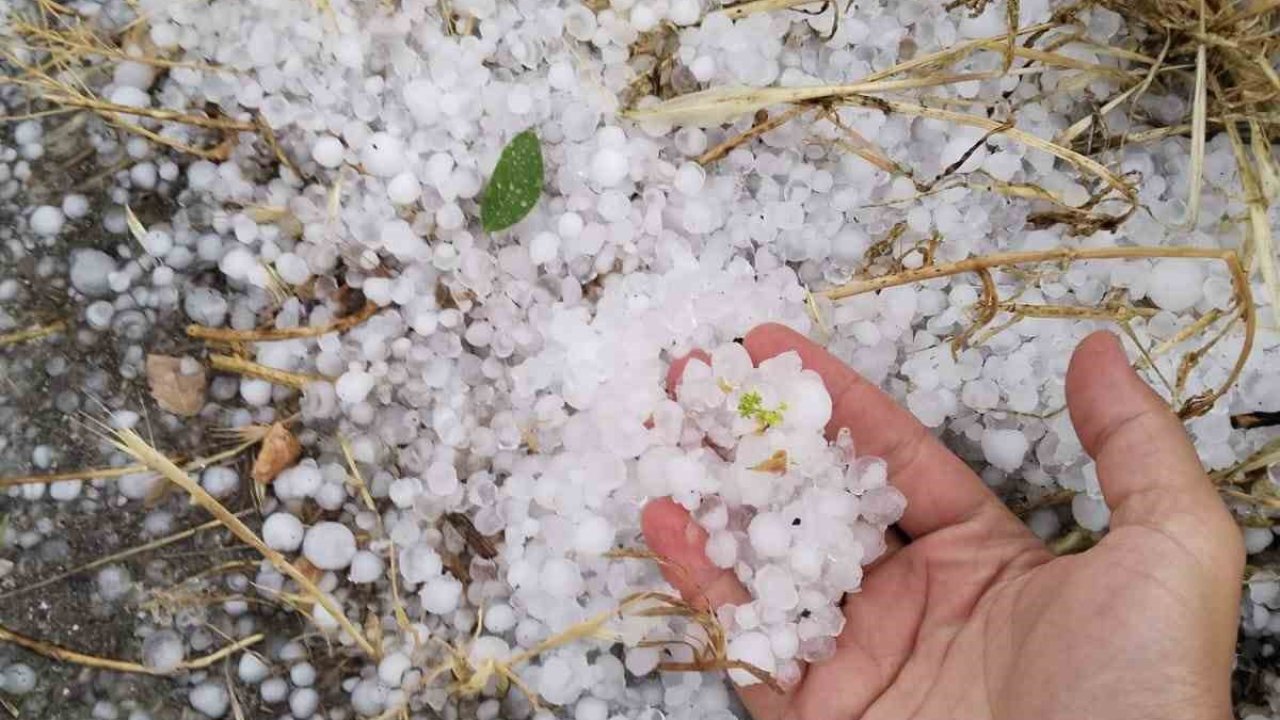 Erzincan’ın Tercan ilçesinde dolu etkili oldu