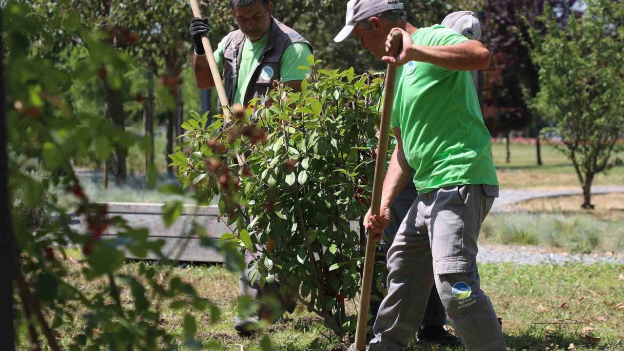 Sakarya Büyükşehir Belediyesi’nden şehre estetik dokunuş