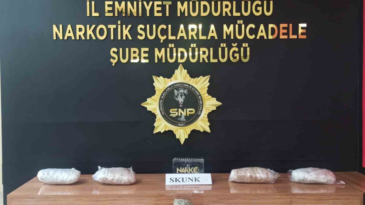 Şanlıurfa’da 6 kilo 550 gram skunk ele geçirildi