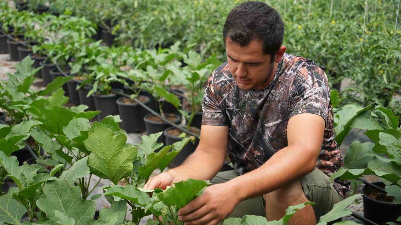 Topraksız sera yüzde 50 daha karlı