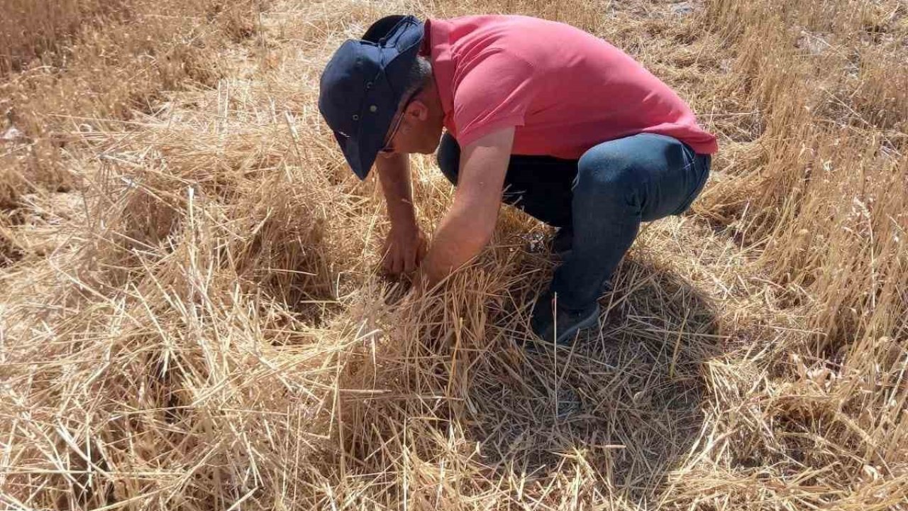 Niğde’de çiftçilere uyarı