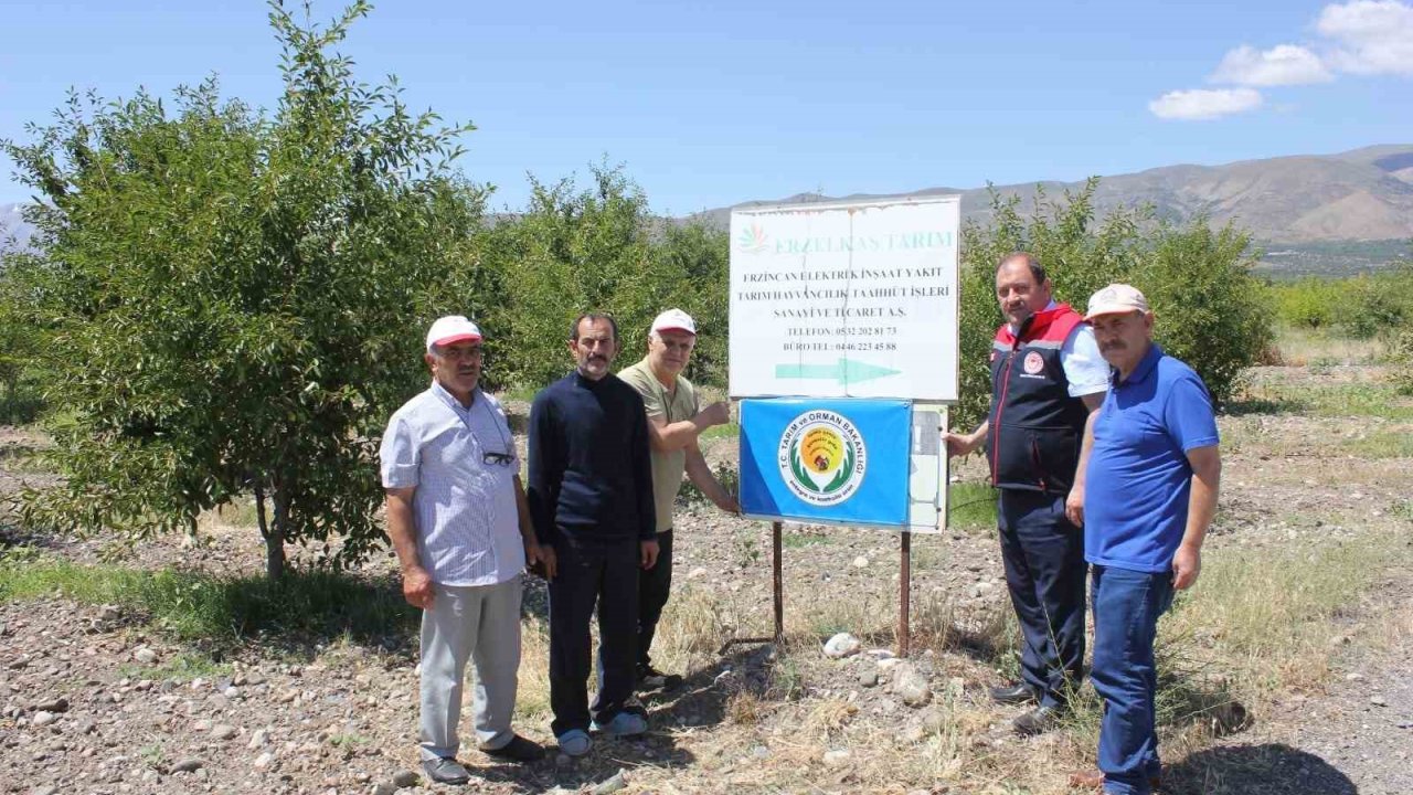 Erzincan’da bahçelere mavi bayrak