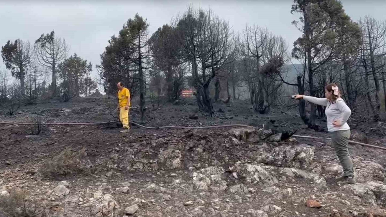 Kepsut’ta çıkan yangının ilerlemesi durdu, soğutma çalışmaları başlıyor