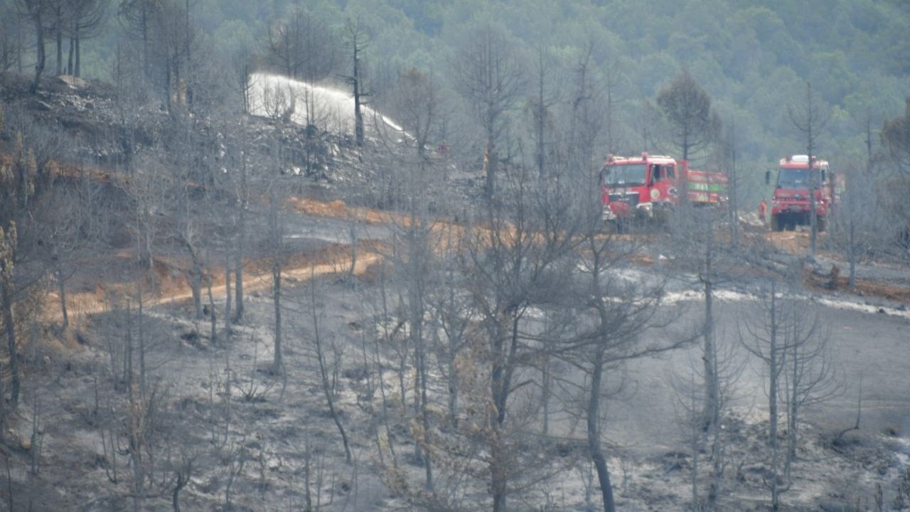 Kepsut yangını kontrol altına alındı, soğutma çalışmaları devam ediyor