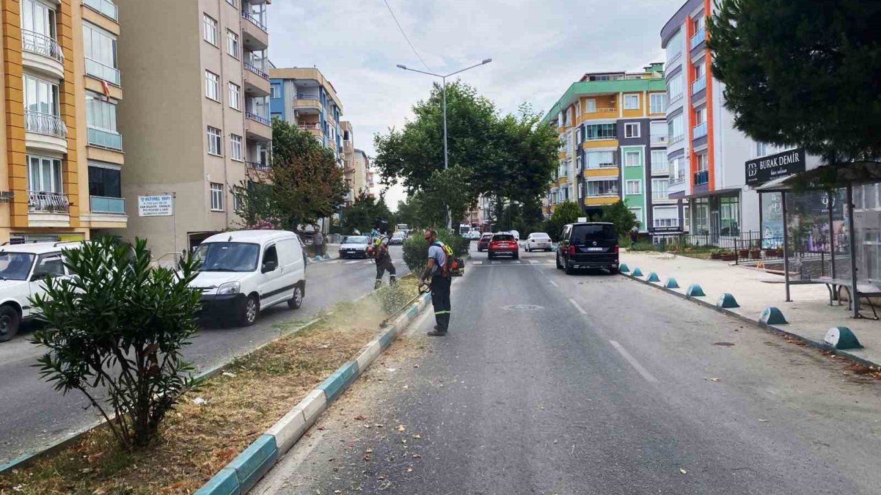 Başkan Nallar: "Herkes üstüne düşeni yapsın, şehrimize hep birlikte sahip çıkalım"