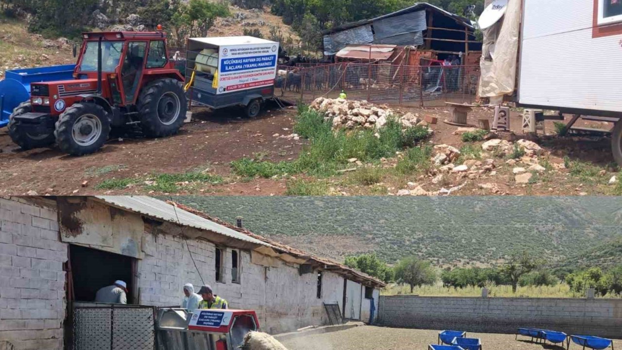 Tavas Belediyesi 21 bin 735 küçükbaş hayvana parazit bakımı yaptı