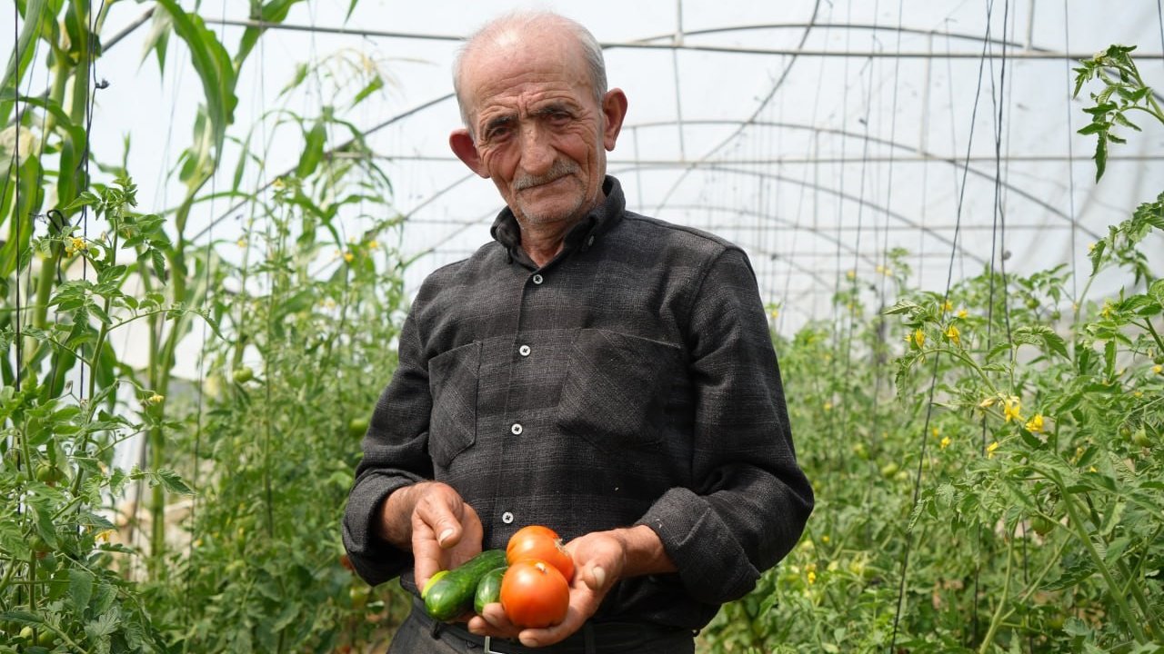 "Ata tohumu memleket meselesi" diyen 74 yaşındaki çiftçi ömrünü organik tarıma adadı