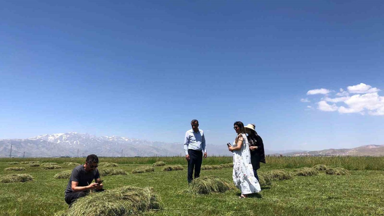 Yüksekova’da yağışlar çiftçilerin yüzünü güldürdü